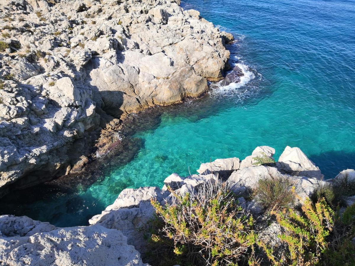 Vfh Flavia Eco - 50 Metri Dal Mare Bed & Breakfast